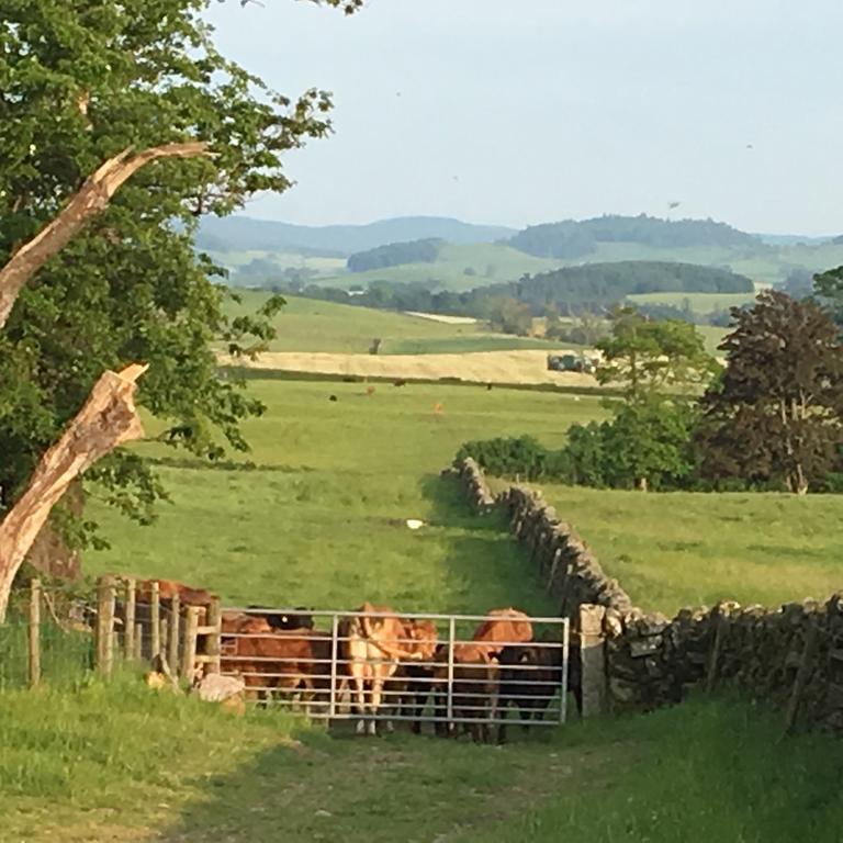 Chipperkyle Country House B&B Kirkpatrick Durham المظهر الخارجي الصورة
